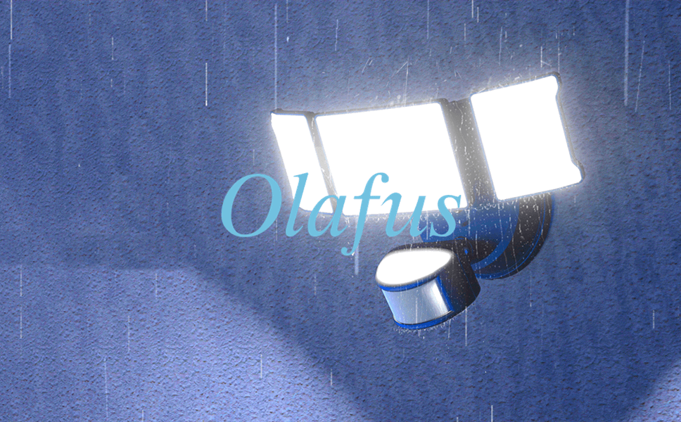 Maintain Motion Sensor Lights