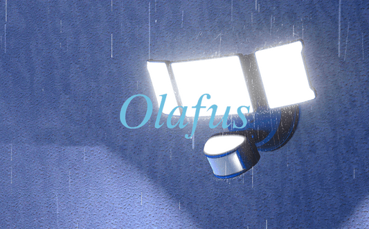 Maintain Motion Sensor Lights