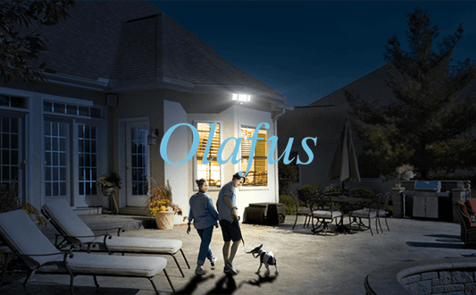 Best Motion Detector Lights