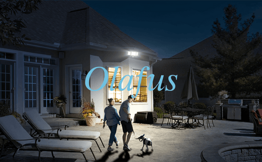 Flood Lights with Motion Sensor - The Ideal Choice