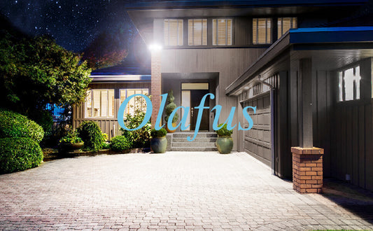 Bright Barriers to Protecting Your Home