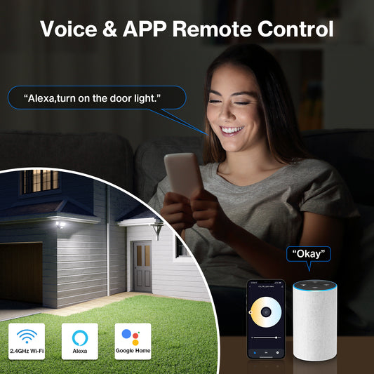 Olafus 55W WiFi Motion Sensor LED Light Voice Control