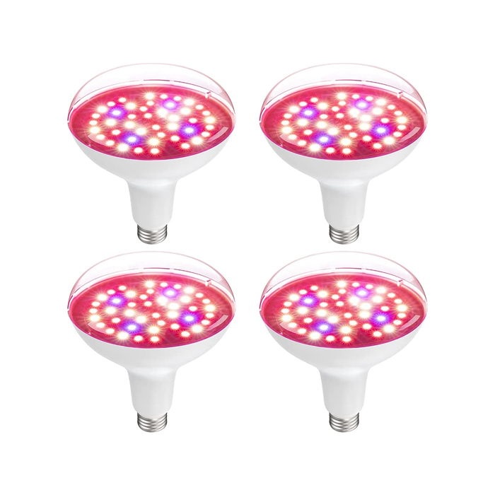 olafus plant light bulbs