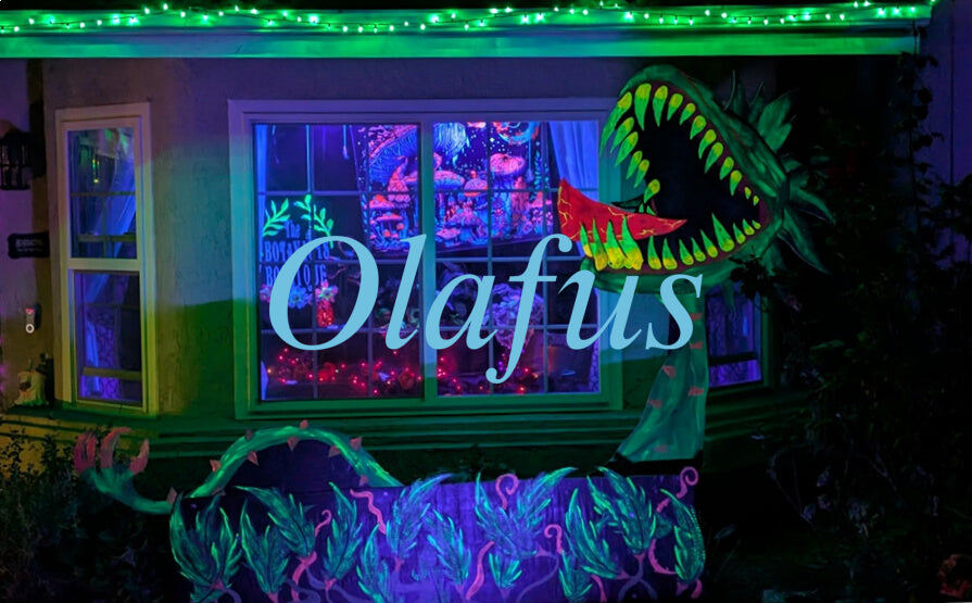 The Pros & Cons of the Most Popular Black Light Fixtures