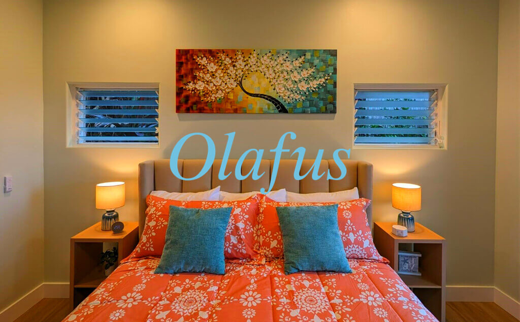Olafus Picture Lights makes your paintings as brilliant at night