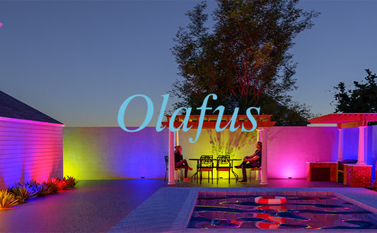 New Family Entertainment Experience - Color Changing Lights