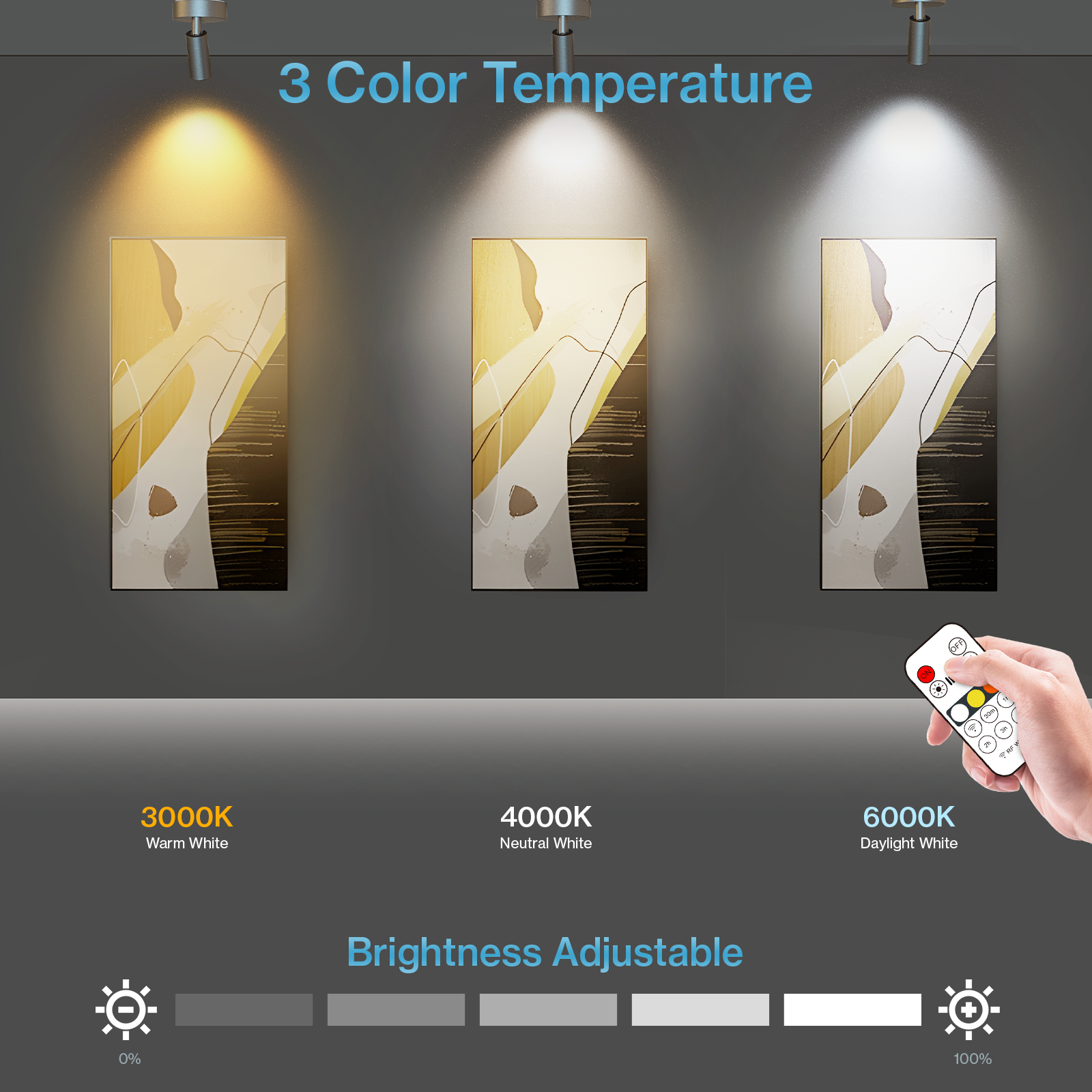 Olafus LED Rechargeable Battery Spotlight with Remote