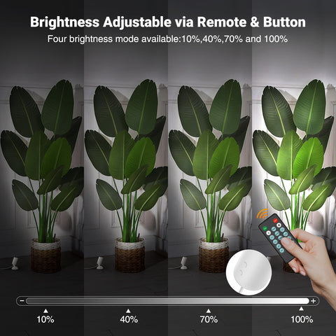 Olafus Plug In Indoor LED Spotlights 2 Pack White