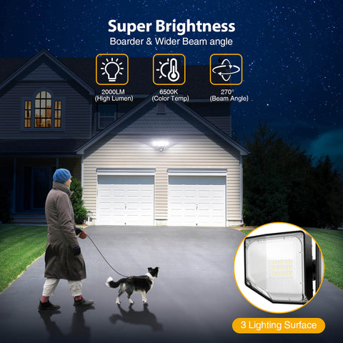 Olafus Wireless Motion Sensor LED Security Light