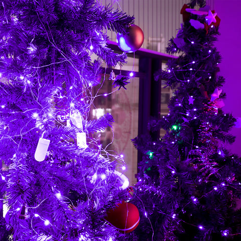 Olafus 7ft Purple Mini LED Fairy Lights 16 Pack